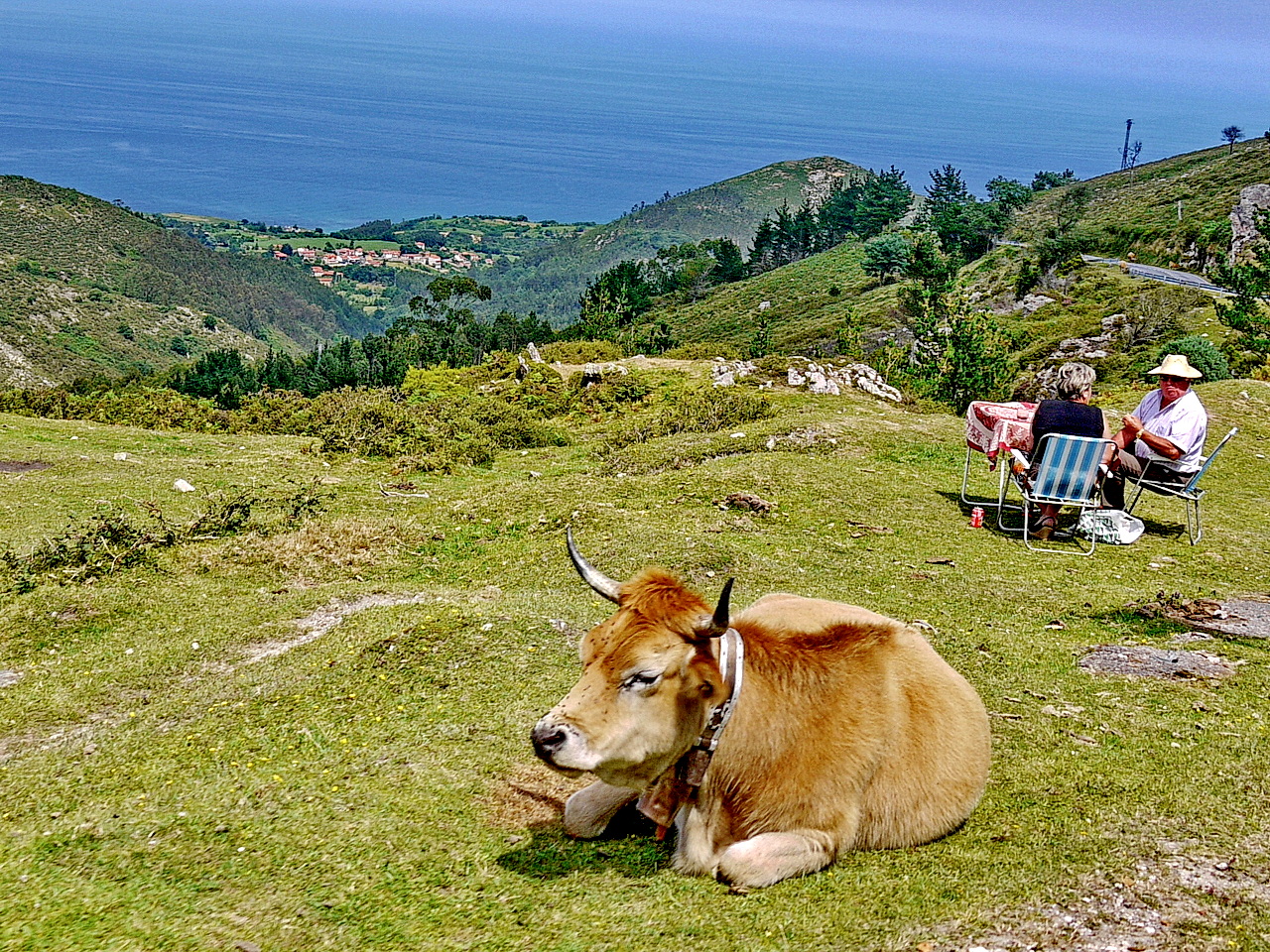 Mirador del Fito