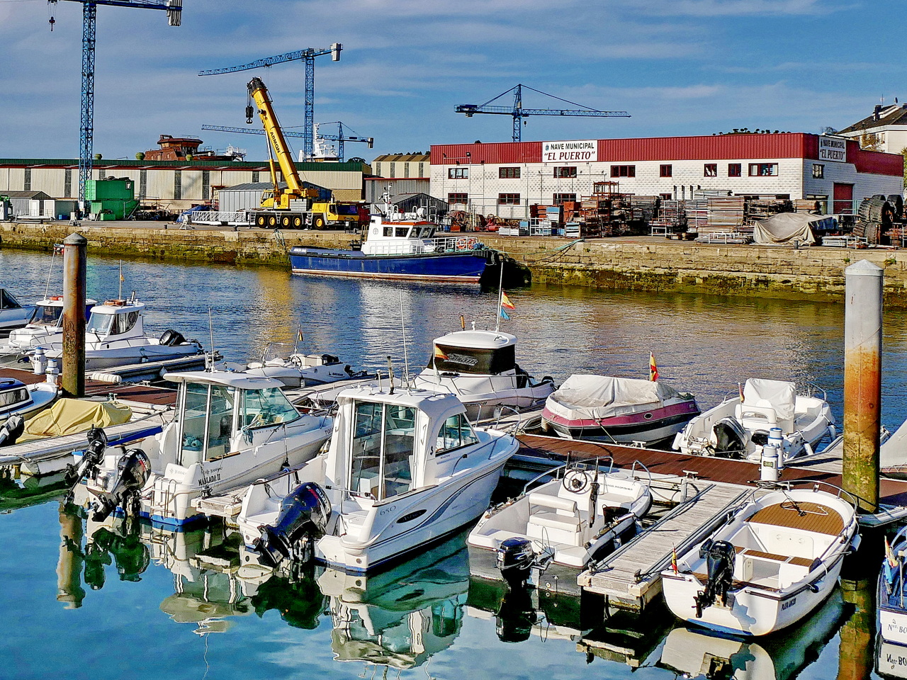 Navia