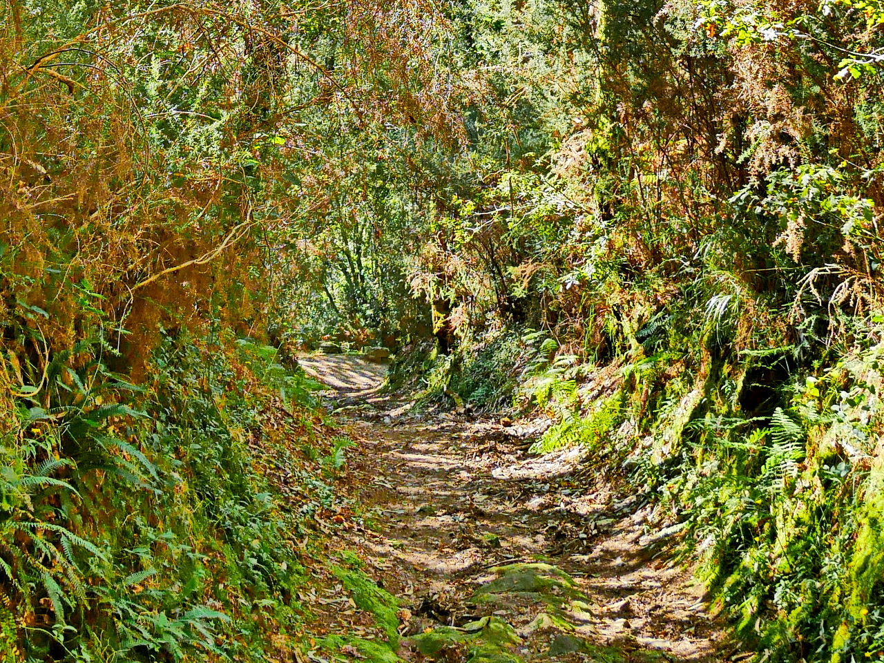 Naturpark Fragas do Eume