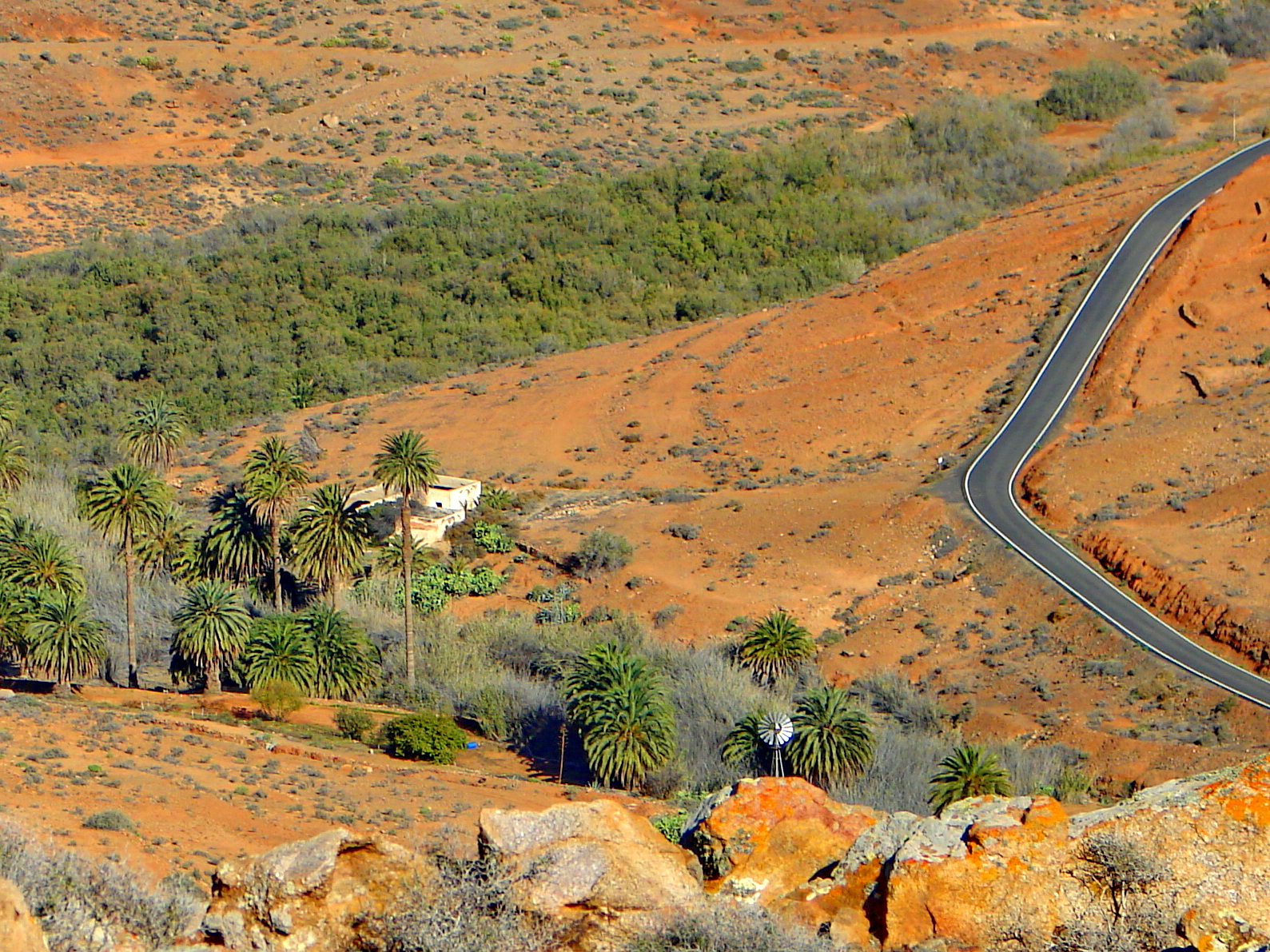 La Vega del Río Palmas y Pájara (Fuerteventura)