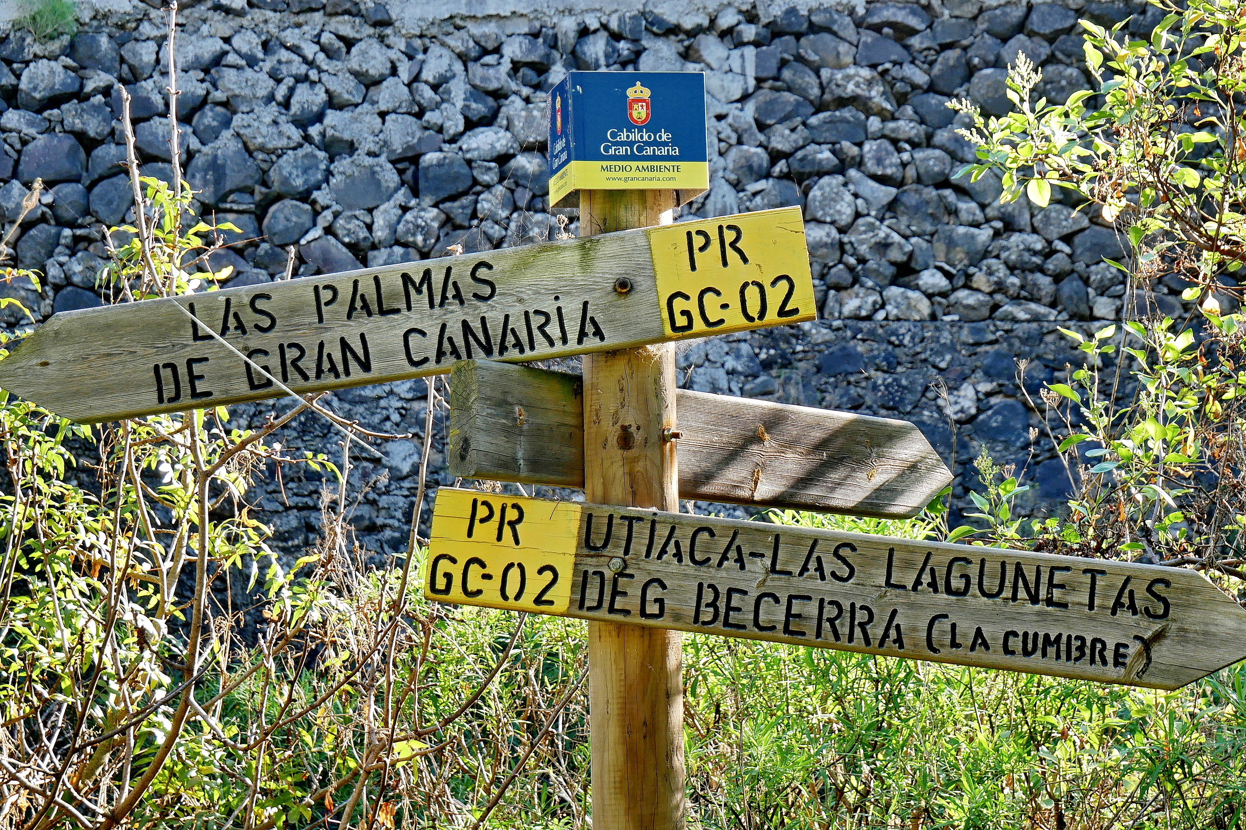Barranco Guiniguada (Gran Canaria)
