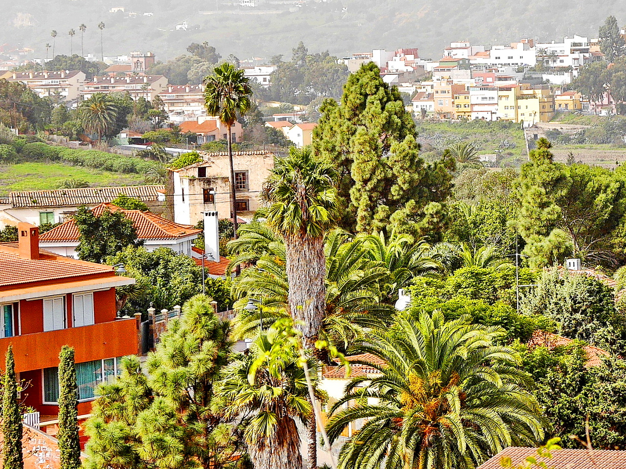 Santa Brígida (Gran Canaria)