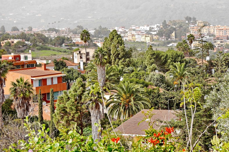 Santa Brígida (Gran Canaria) umgeben von tropischer Vegetation