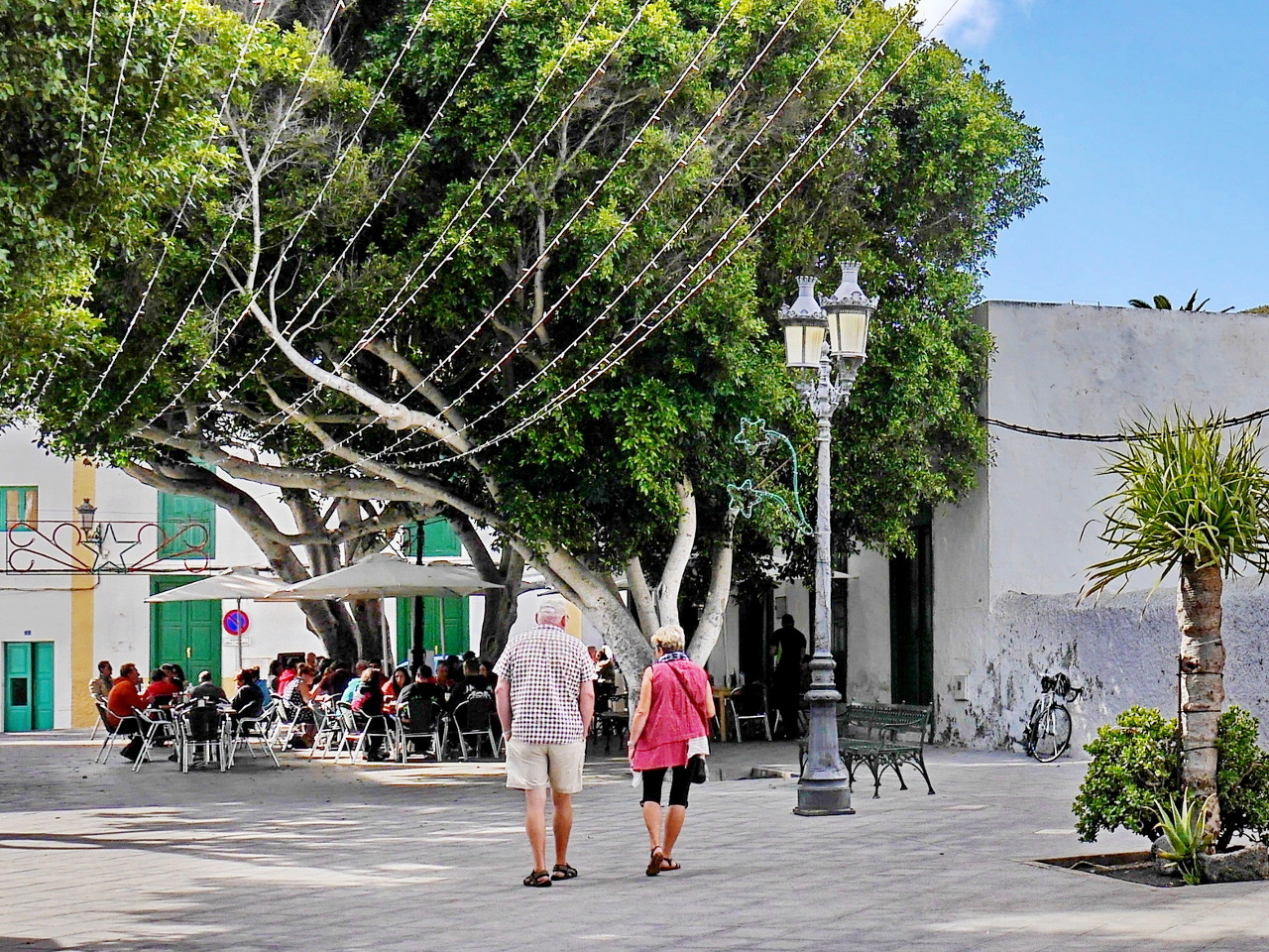 Haría (Lanzarote)