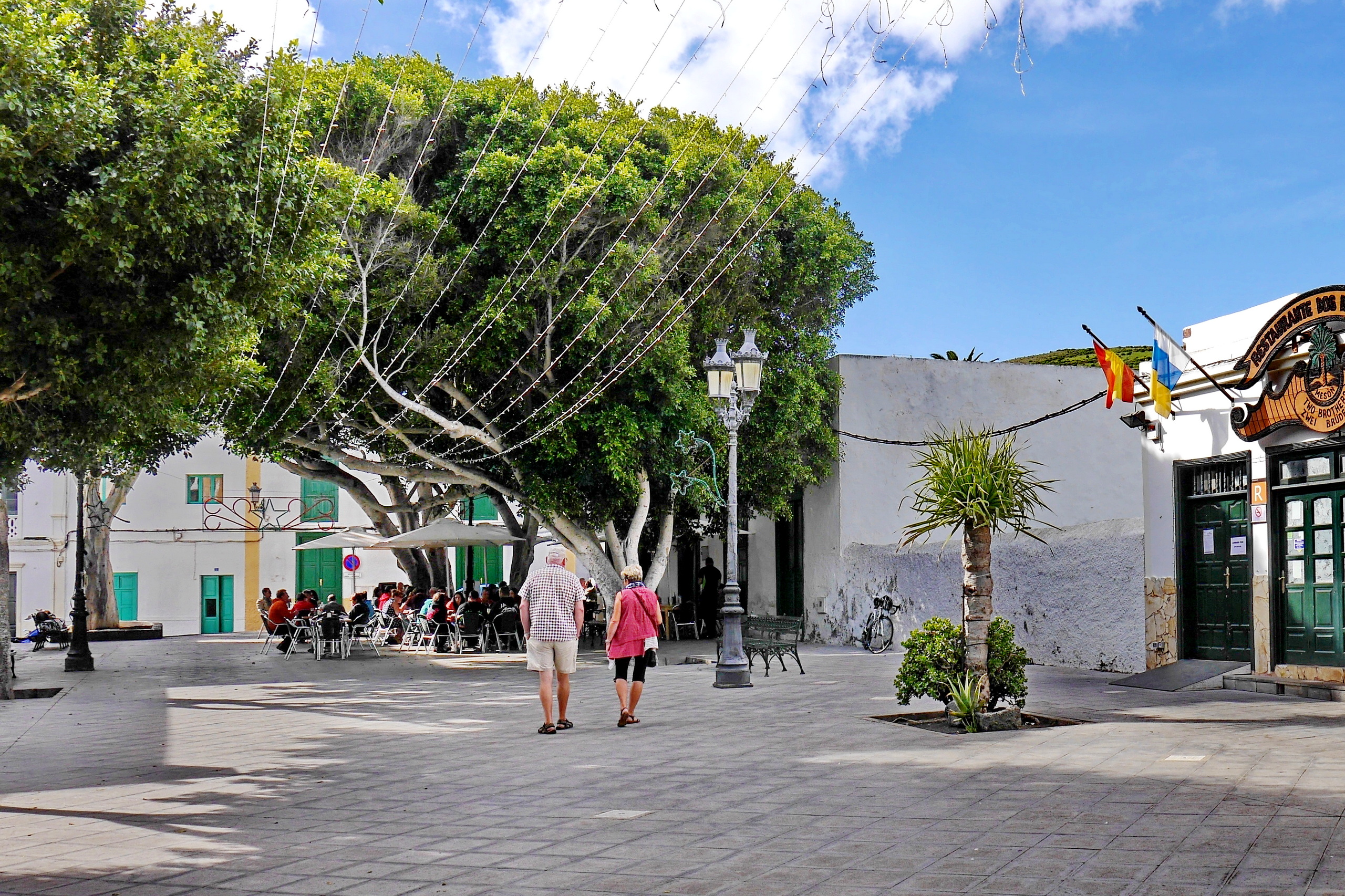 Haría (Lanzarote)