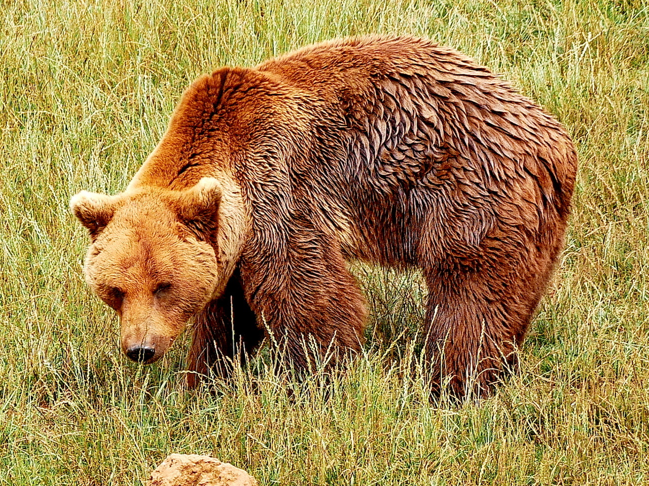 Tierpark Cabárceno