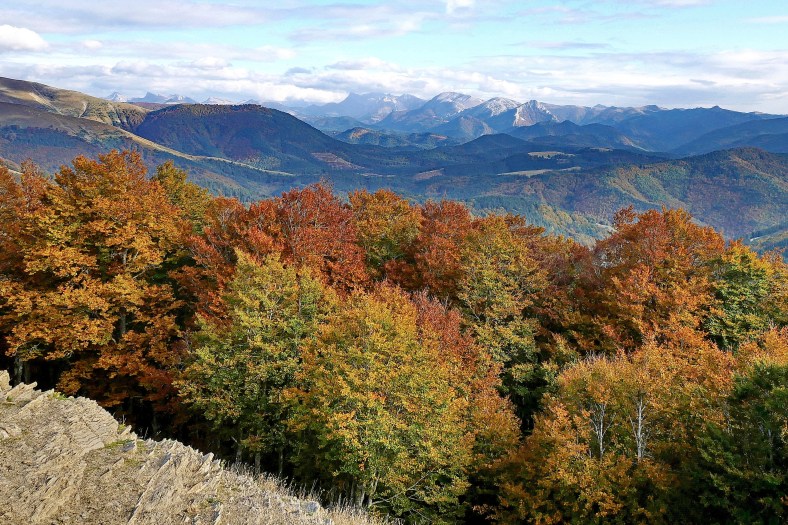 Selva de Irati im Herbst (Pyrenäen)