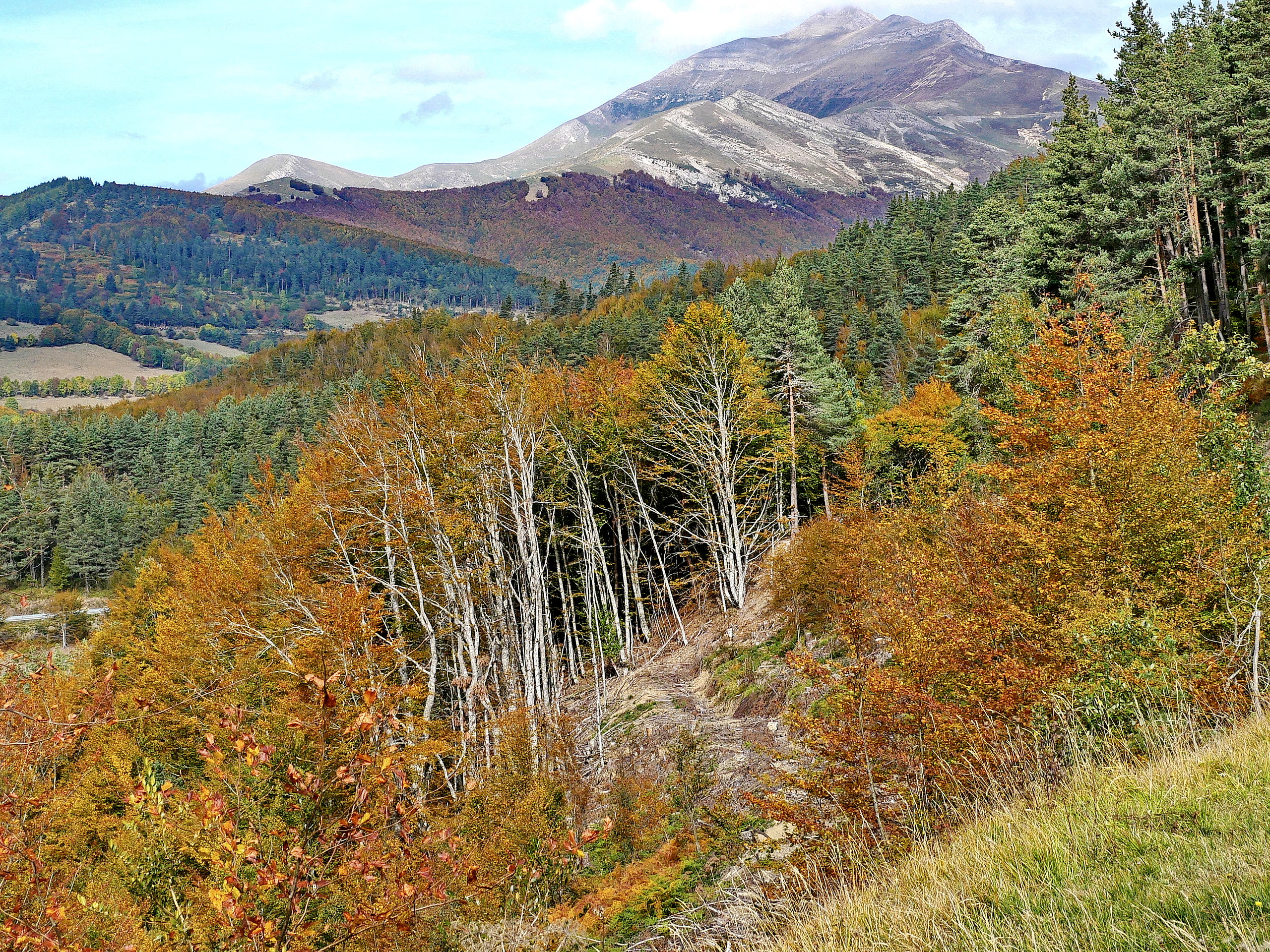 Pyrenäen im Herbst