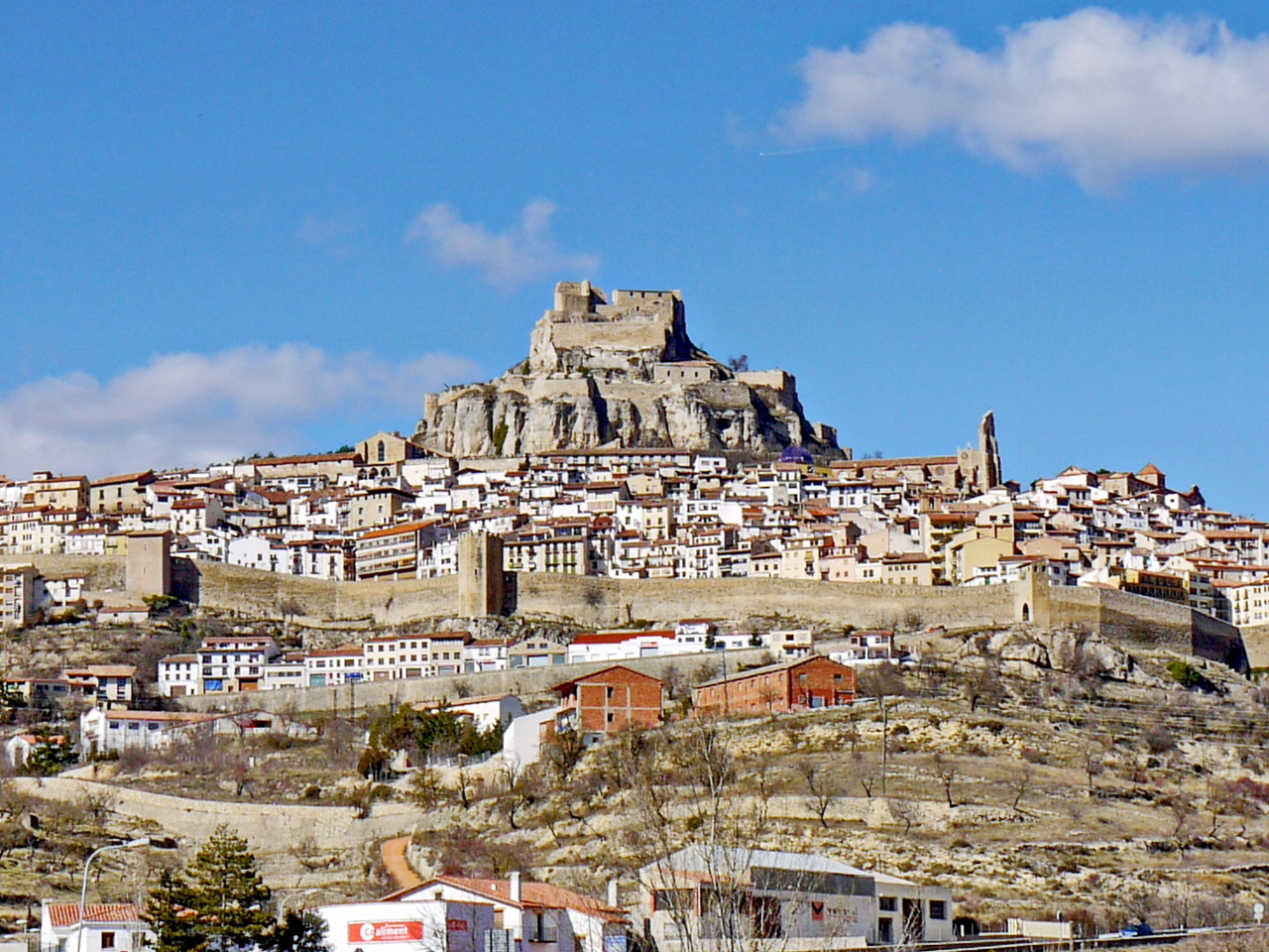 Morella